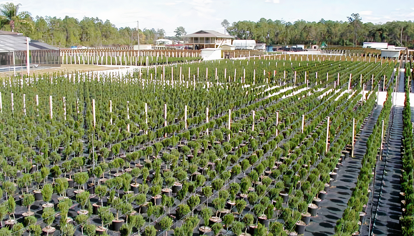 Topiary Creations Hoffmann Commercial Real Estate