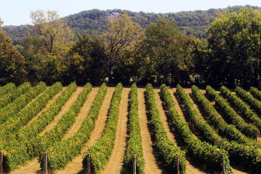 Augusta MO Knoernschild Vineyards Hoffmann Commercial Real Estate