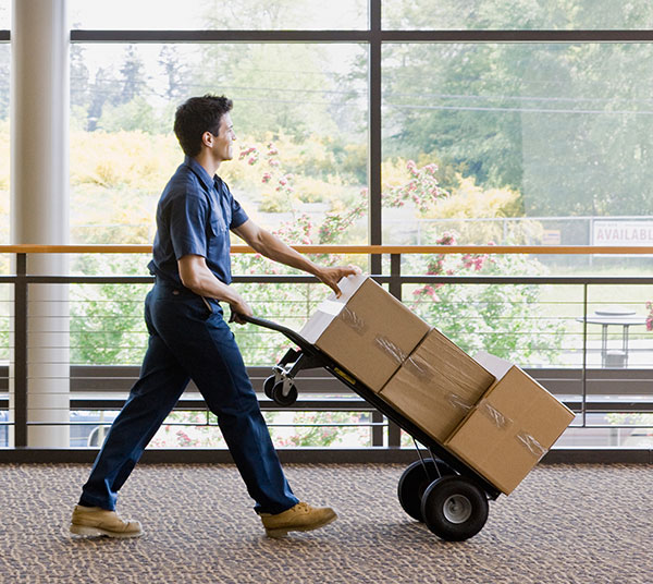 Rentals Hoffman's Supply