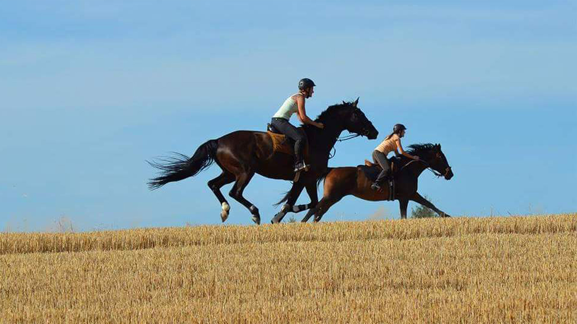 Reiten HofgutEich