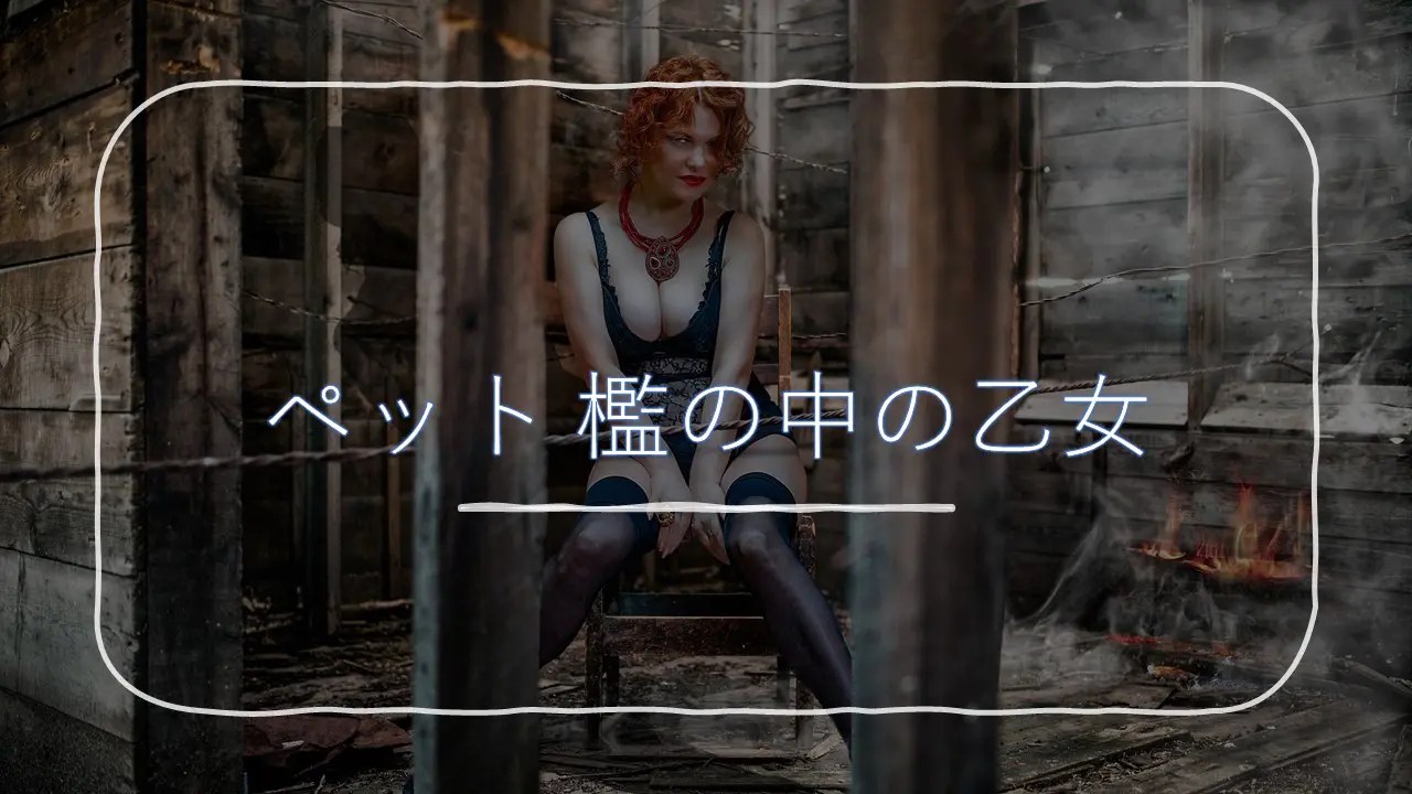 『ペット 檻の中の乙女』(PET)見て損なし！エンディング読めないどんでん返しコラム的映画あらすじ評価感想・動画配信 ほげるblog