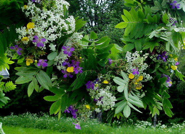 midsommarafton röd dag 2023 Är Midsommarafton 2022 En Röd Dag? | Högtider Och Traditioner