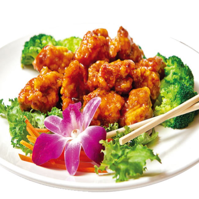 Ho Ho Garden Chinese Restaurant, Ozone Park, NY 11417, Online Order
