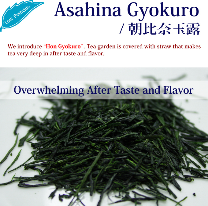 Gyokuro Japanese Green Tea HOJO TEA