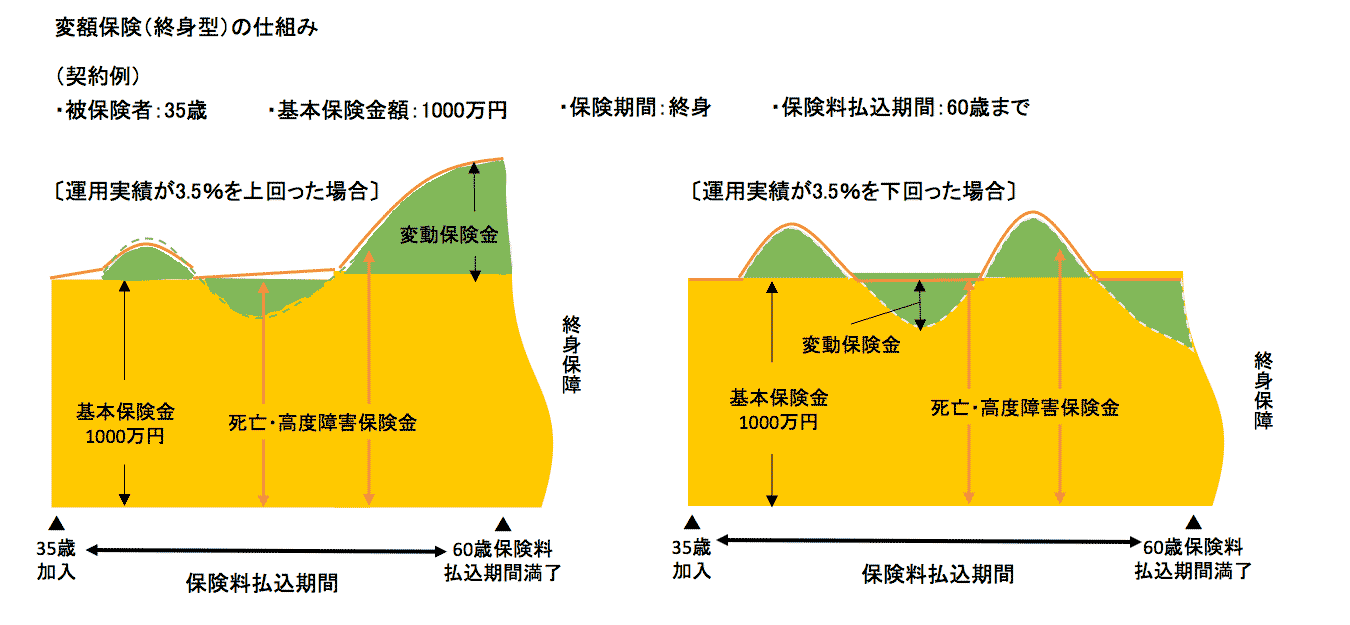 変額保険ってどんな保険？ ほけんキューイング