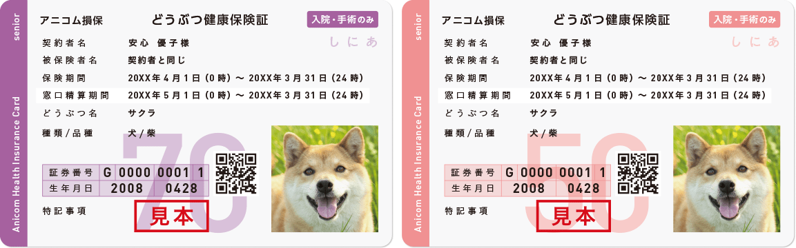 アニコム損保、8歳以上のシニア専用ペット保険「どうぶつ健保しにあ」販売