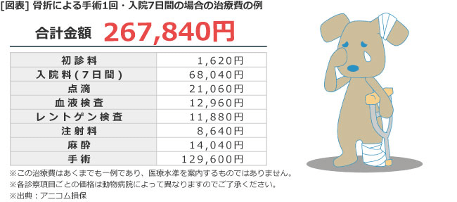 ペットに保険は必要？ リクルート運営の【保険チャンネル】
