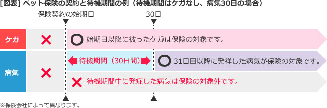 ペット保険の加入方法と注意点 リクルート運営の【保険チャンネル】