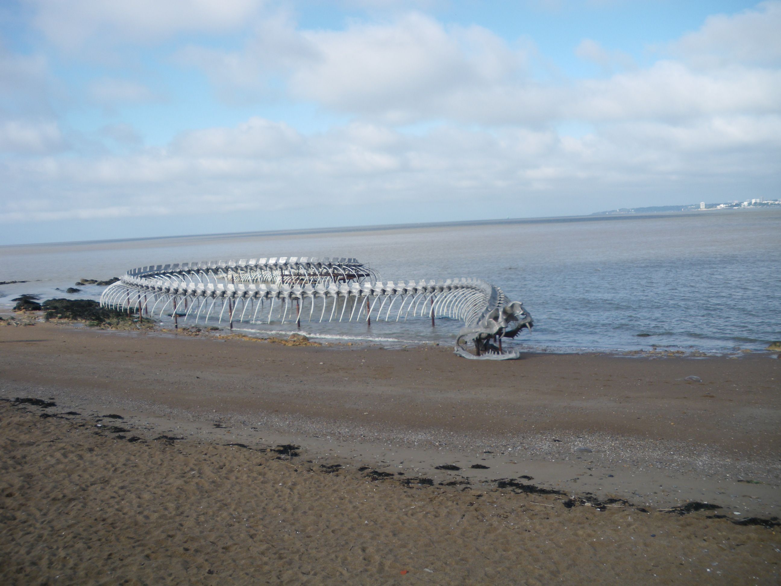 Un Serpent de Mer géant à Saint Brévin les Pins **44**