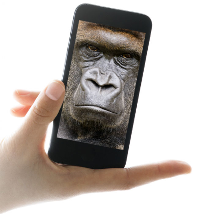 Te decimos todo sobre Gorilla Glass