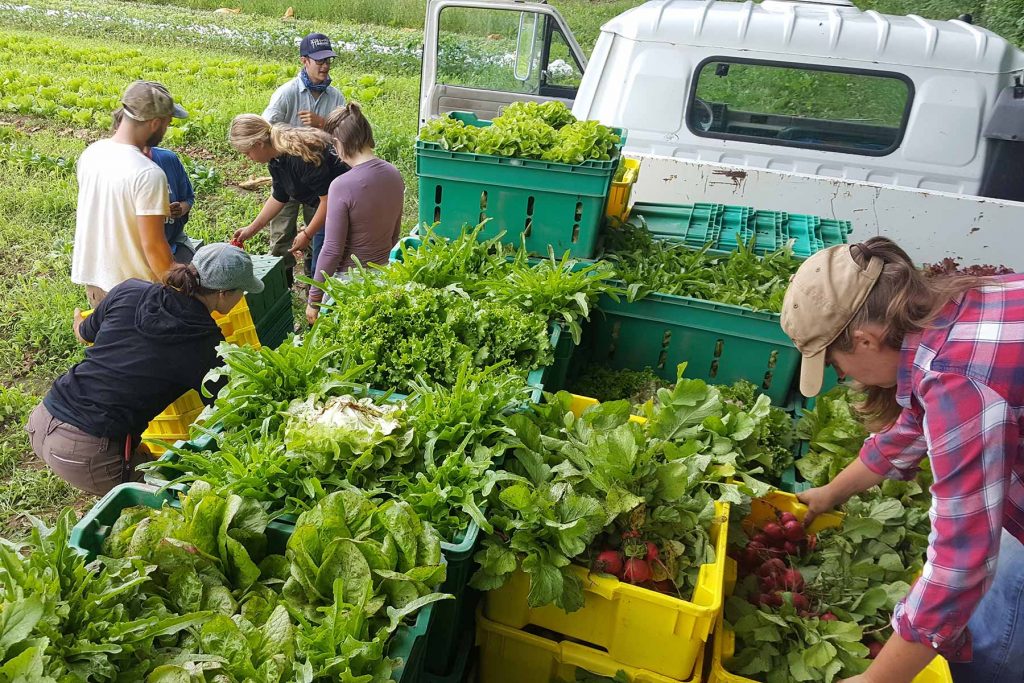 Farm A place to grow since 1756.