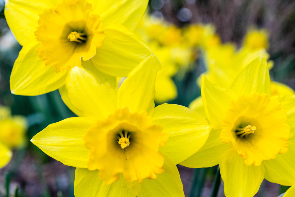 Easter 2021 Holderness House Trust