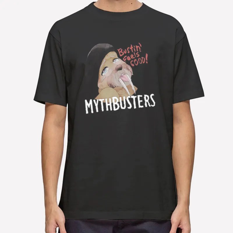 Allen Pan Official Mythbusters Merch Shirt Hole Shirts