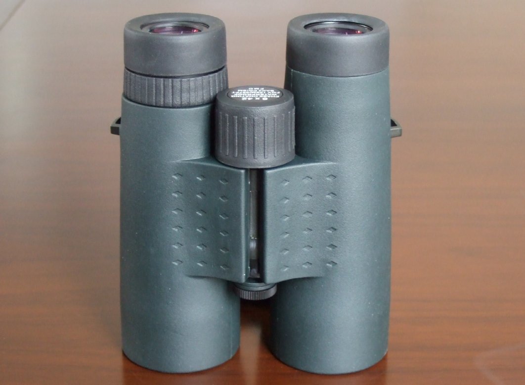 Review Current Chinese 8x40 binoculars
