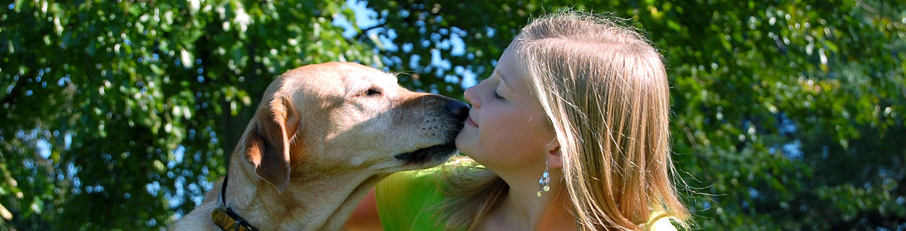 Pet Hotel Associate Job Description The O Guide
