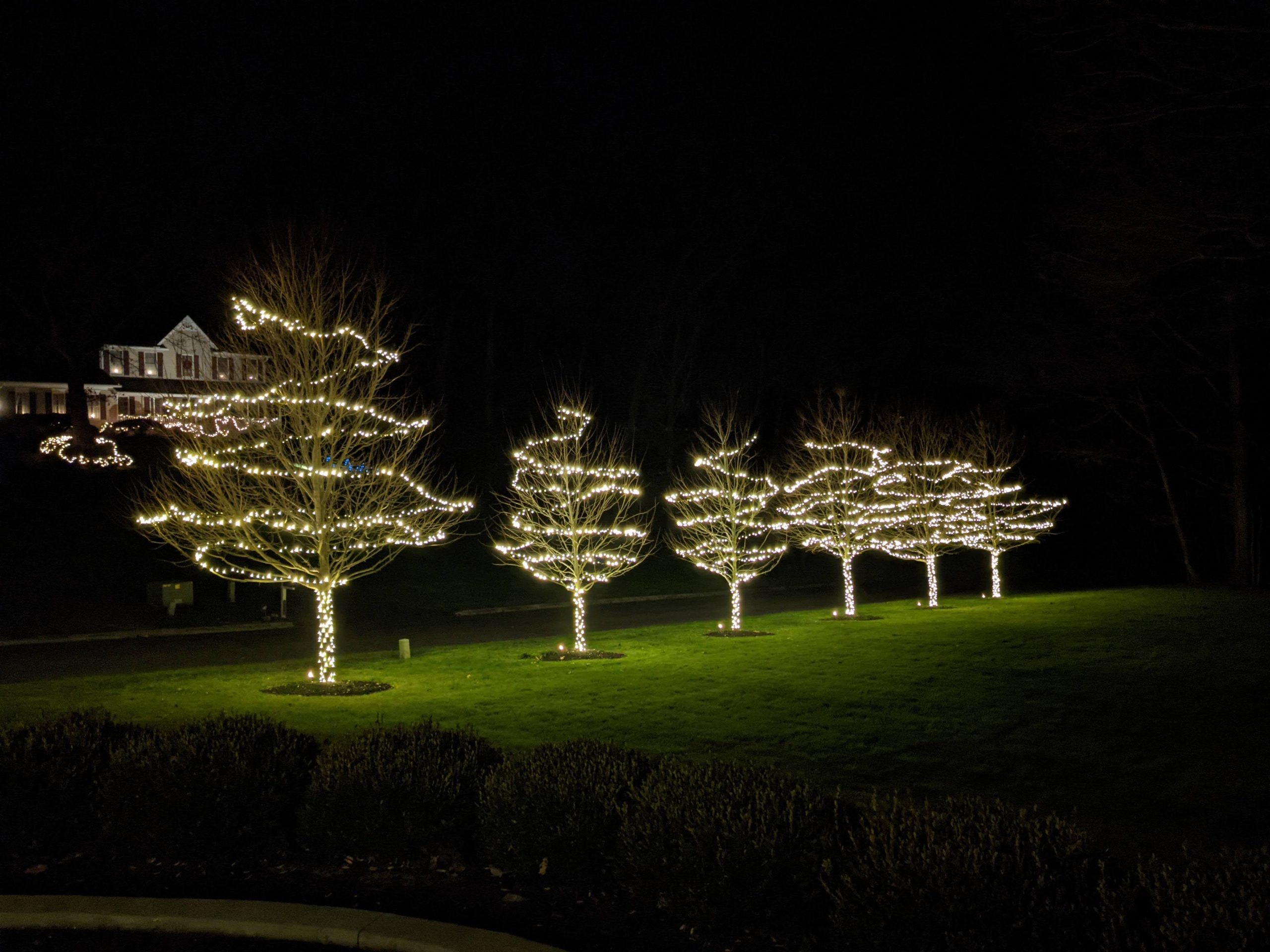 Gallery SoCal Christmas Light Installers