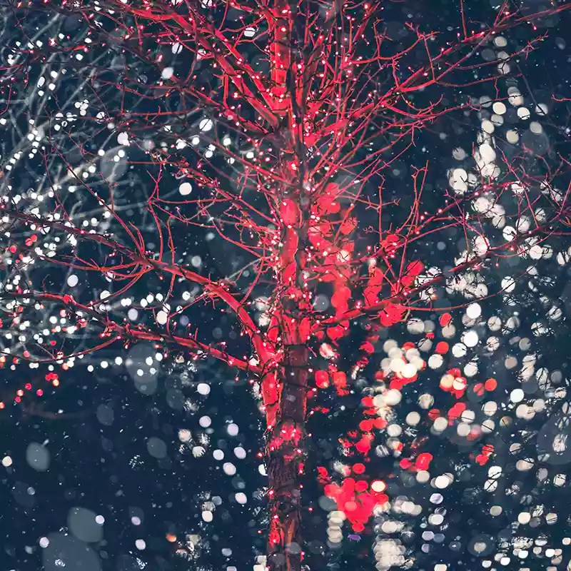 Home Holiday Lights Pro