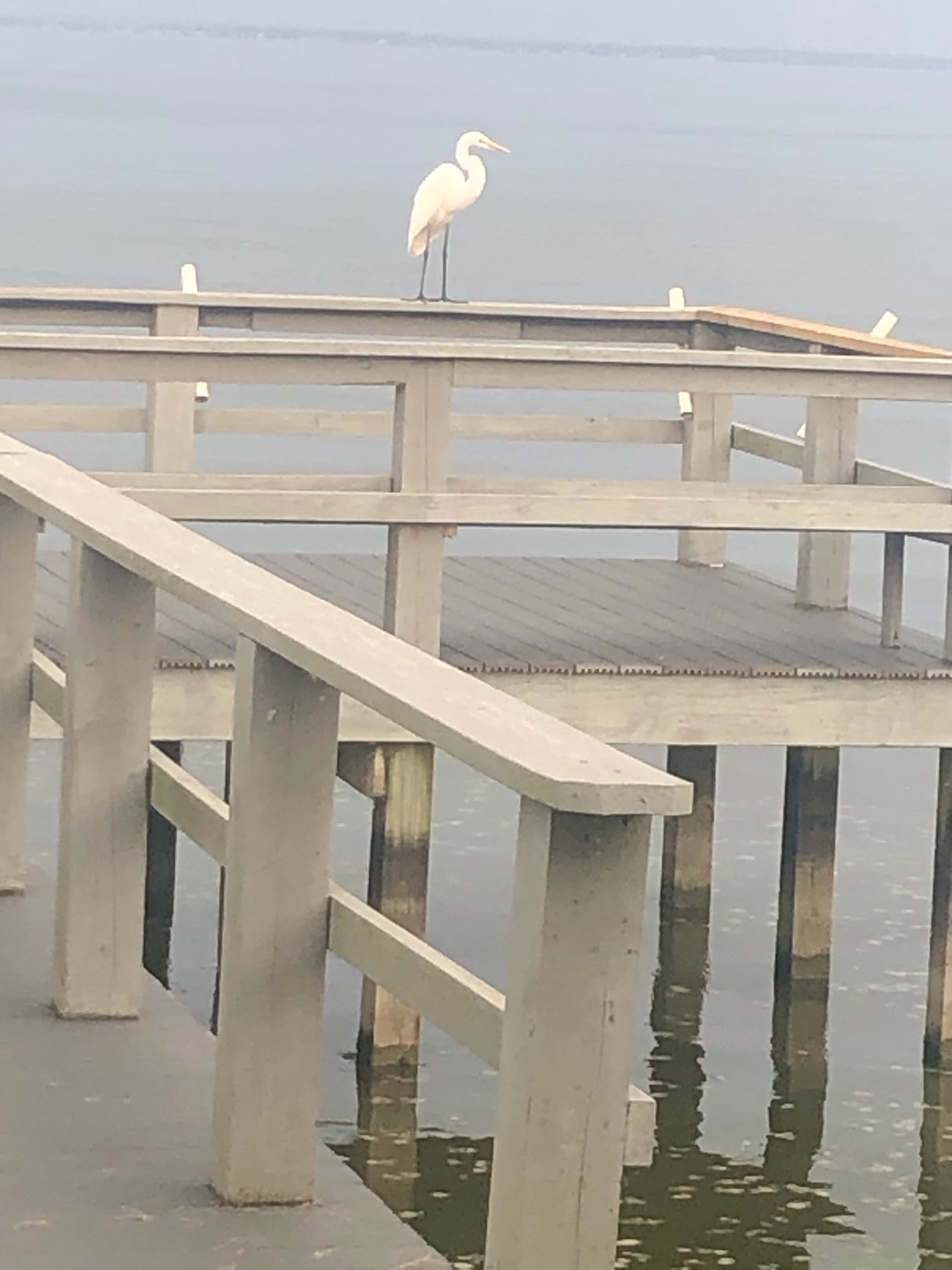 Holiday Shores 1 POA