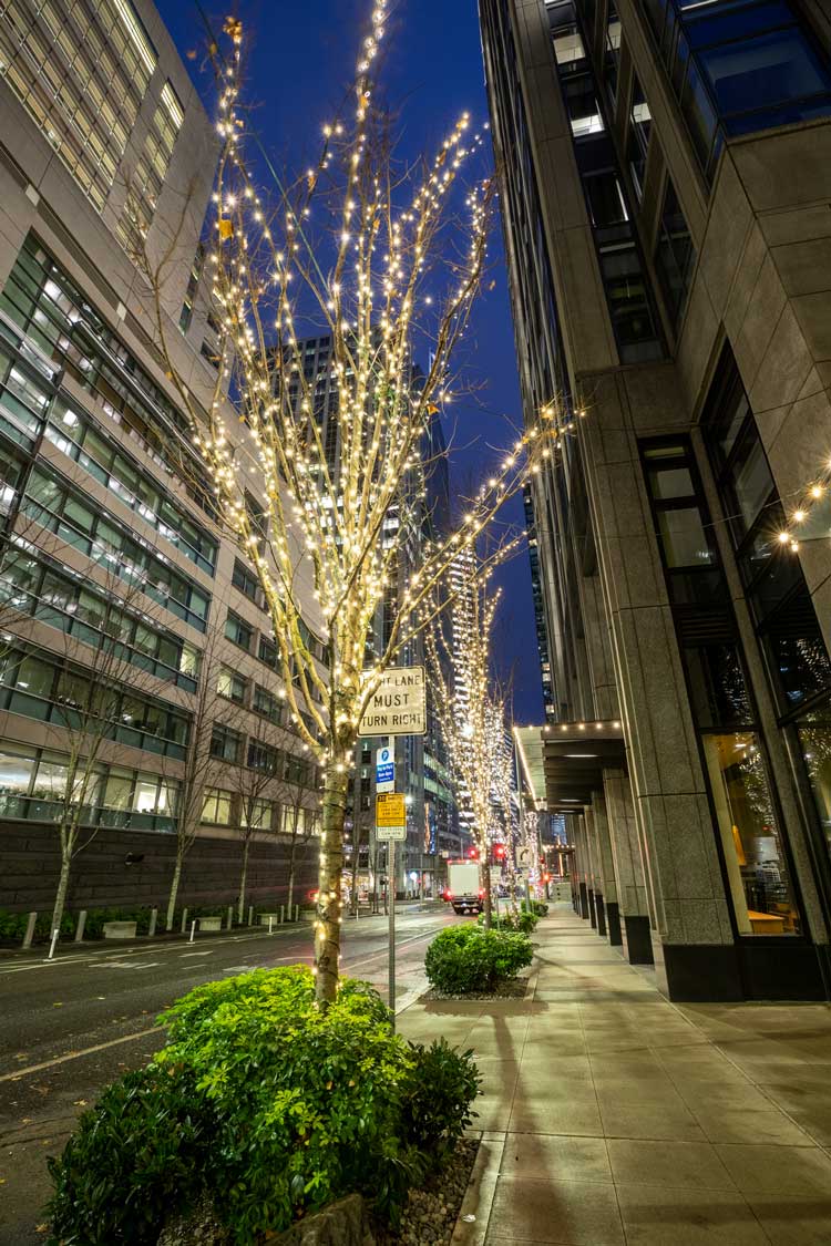 Commercial Seattle Holiday Lighting