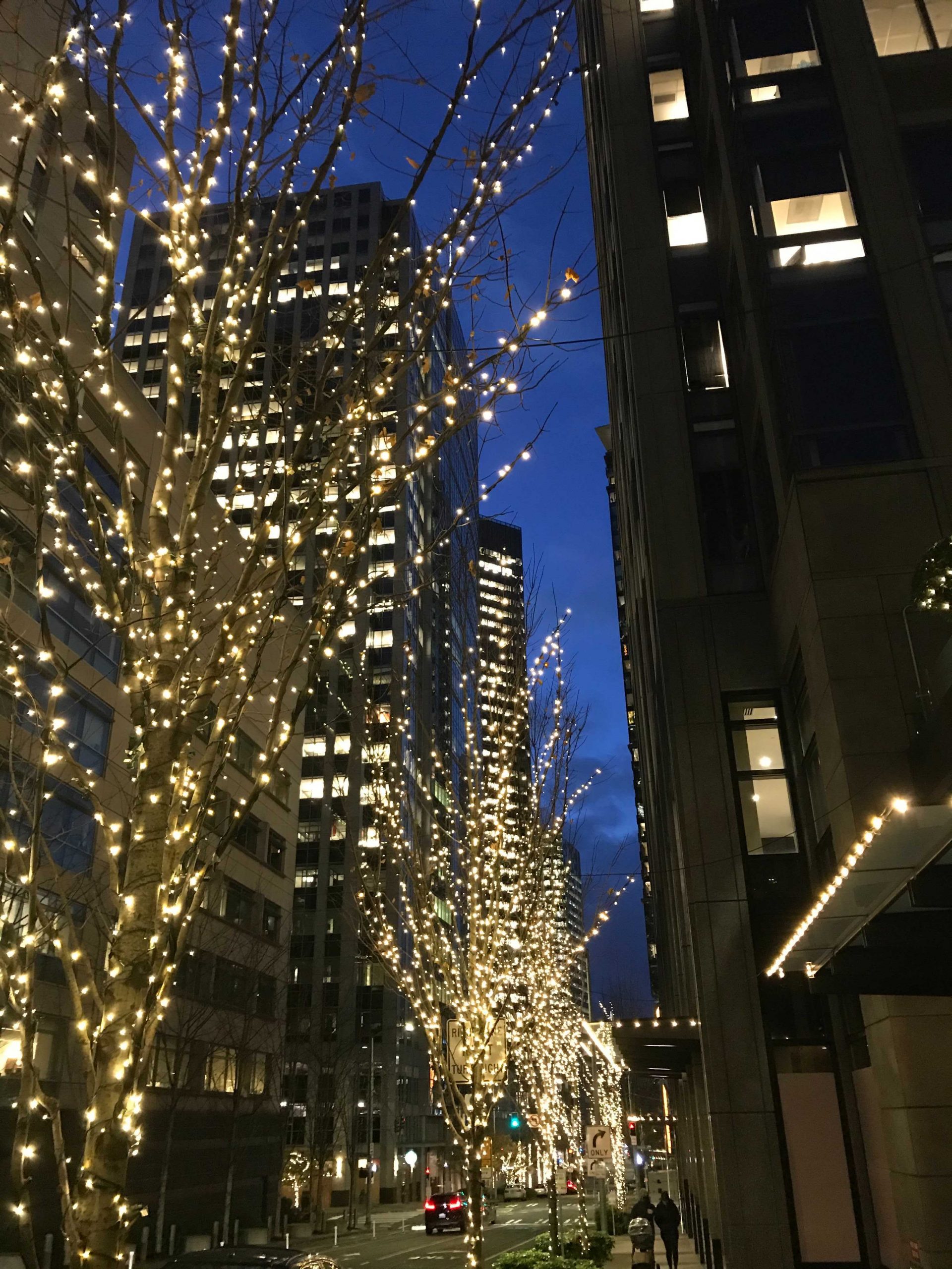 Commercial Seattle Holiday Lighting