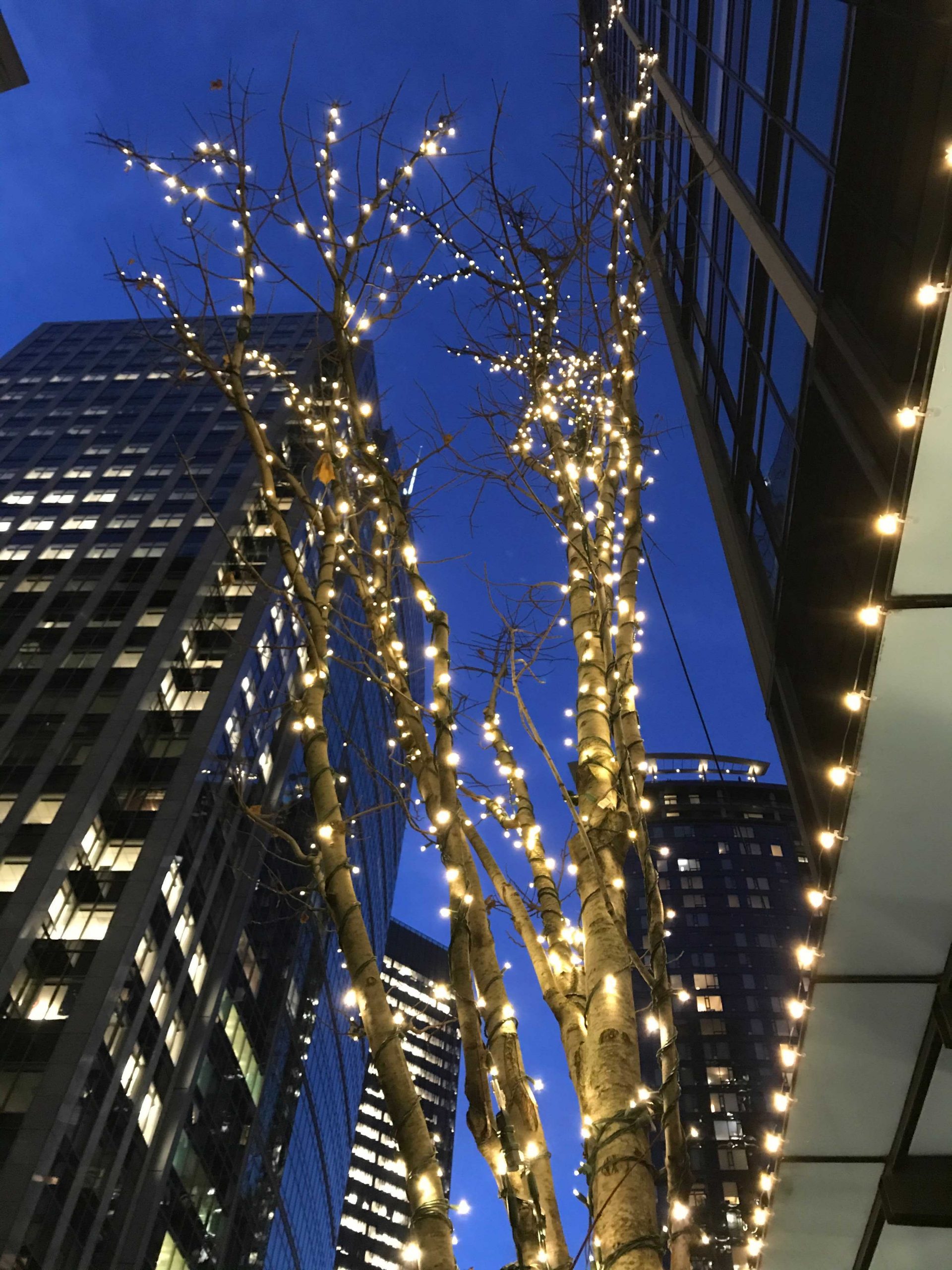 Commercial Seattle Holiday Lighting