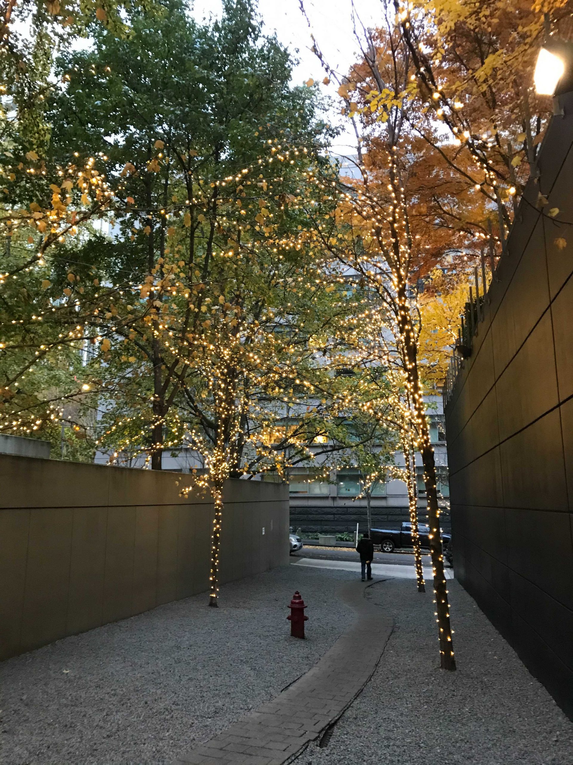 Commercial Seattle Holiday Lighting