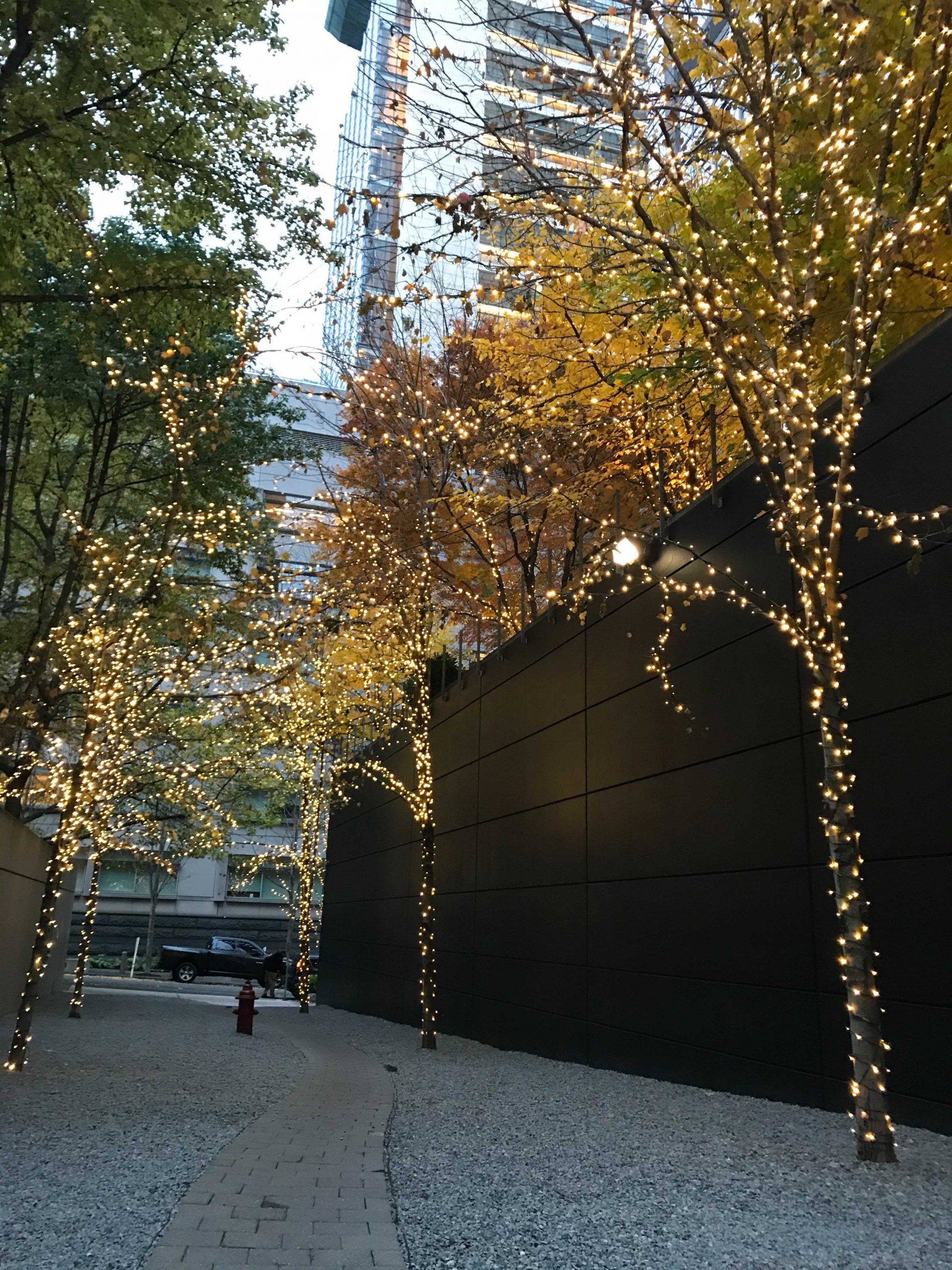 Commercial Seattle Holiday Lighting