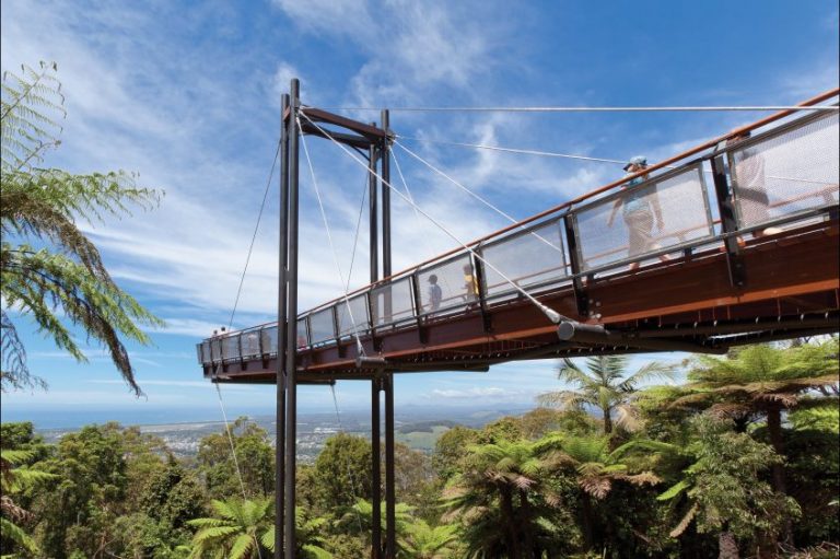 29 things do to in Coffs Harbour with kids Holidays with Kids