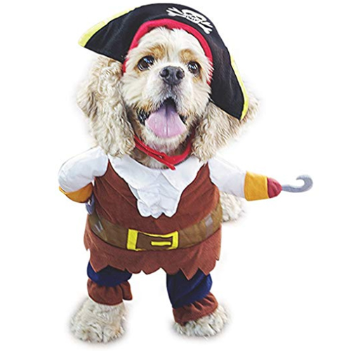 Best Halloween Costume For Dogs 2019 Reviews + Buyer's Guide