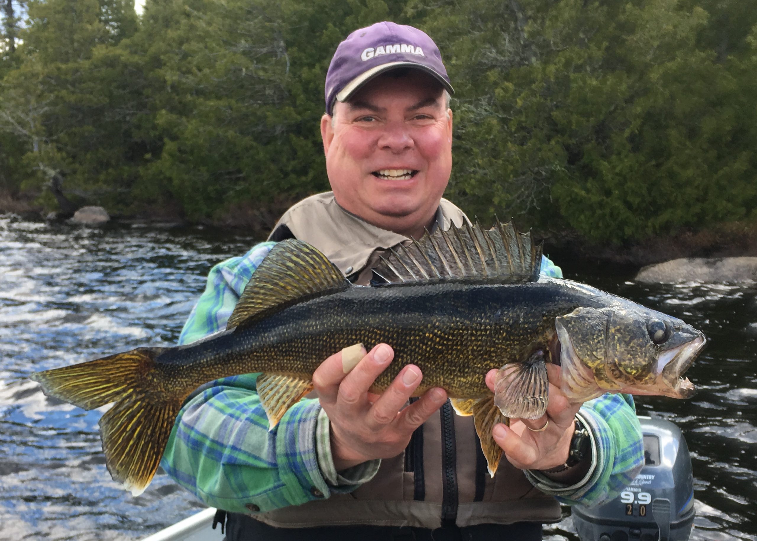 Walleye Gallery Holinshead Lake Outfitters
