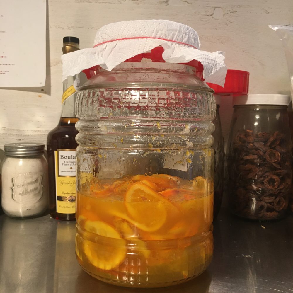 生体ミネラルで作る酵素ジュースの作り方免疫力アップで健康に ホリスティク養生®生活