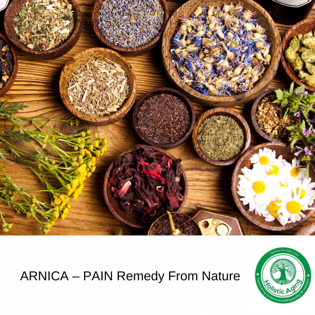 ARNICA PAIN Remedy From Nature Holistic Aging ARNICA PAIN Remedy