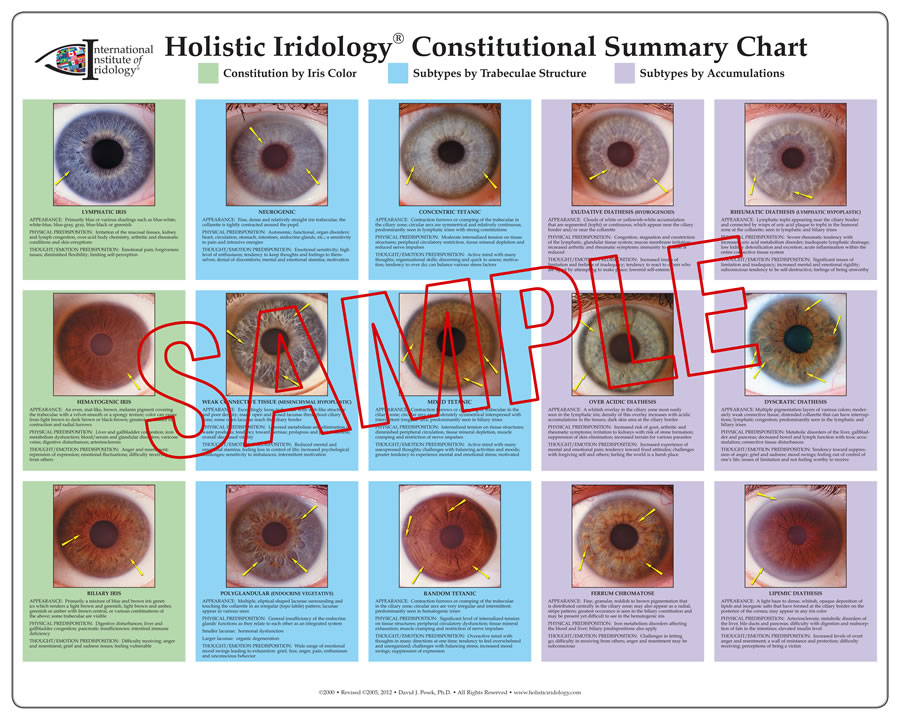 Charts « Dr. Pesek's Holistic Iridology