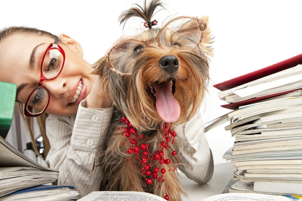 Is It Wrong to Have Pets? Holistic Living Tips