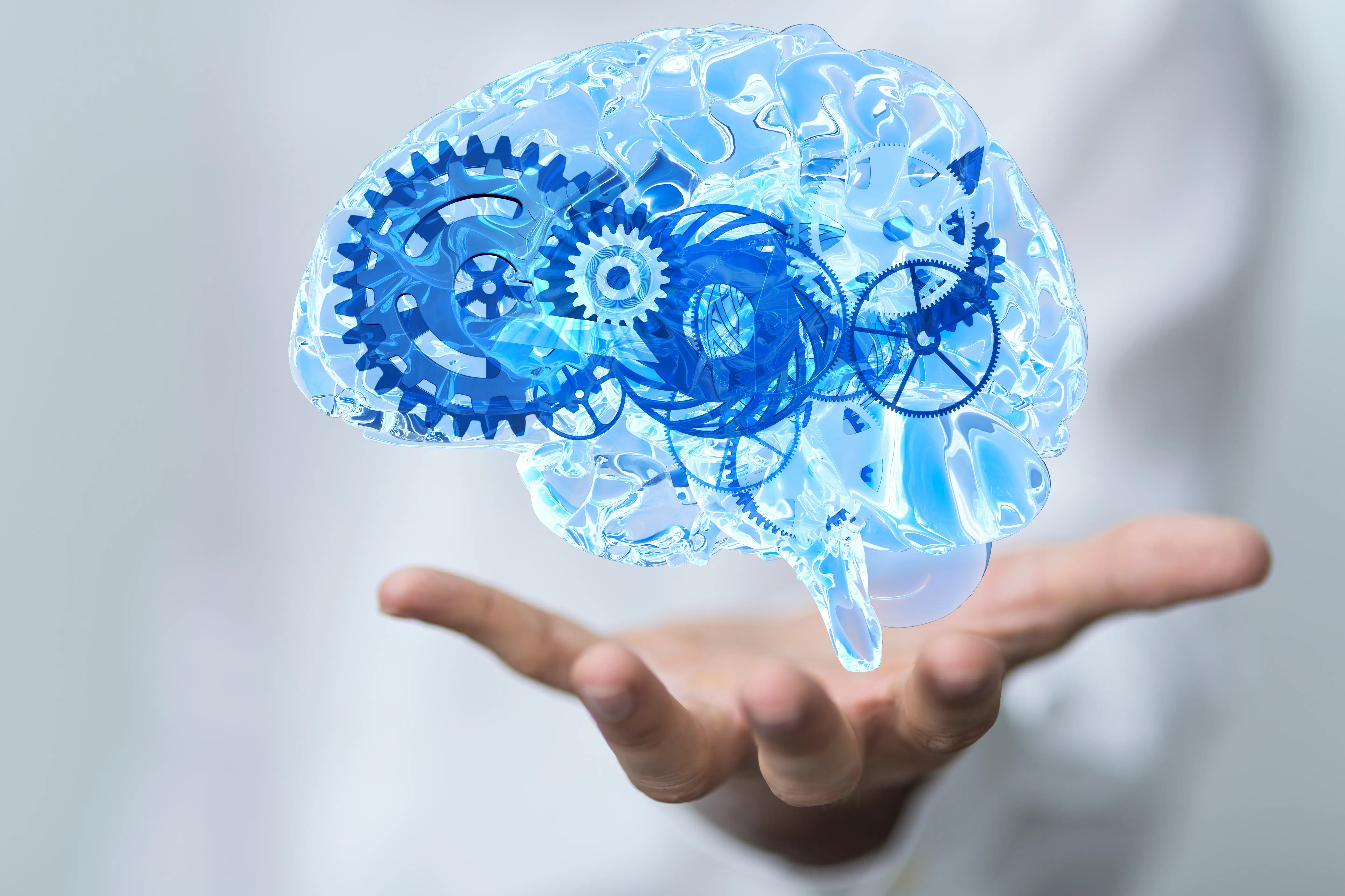 Boron Citrate Health Benefits, Side Effects, How To Use, And More!