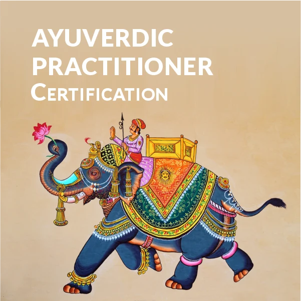 Ayurvedic Practitioner Certification 100 Online Training