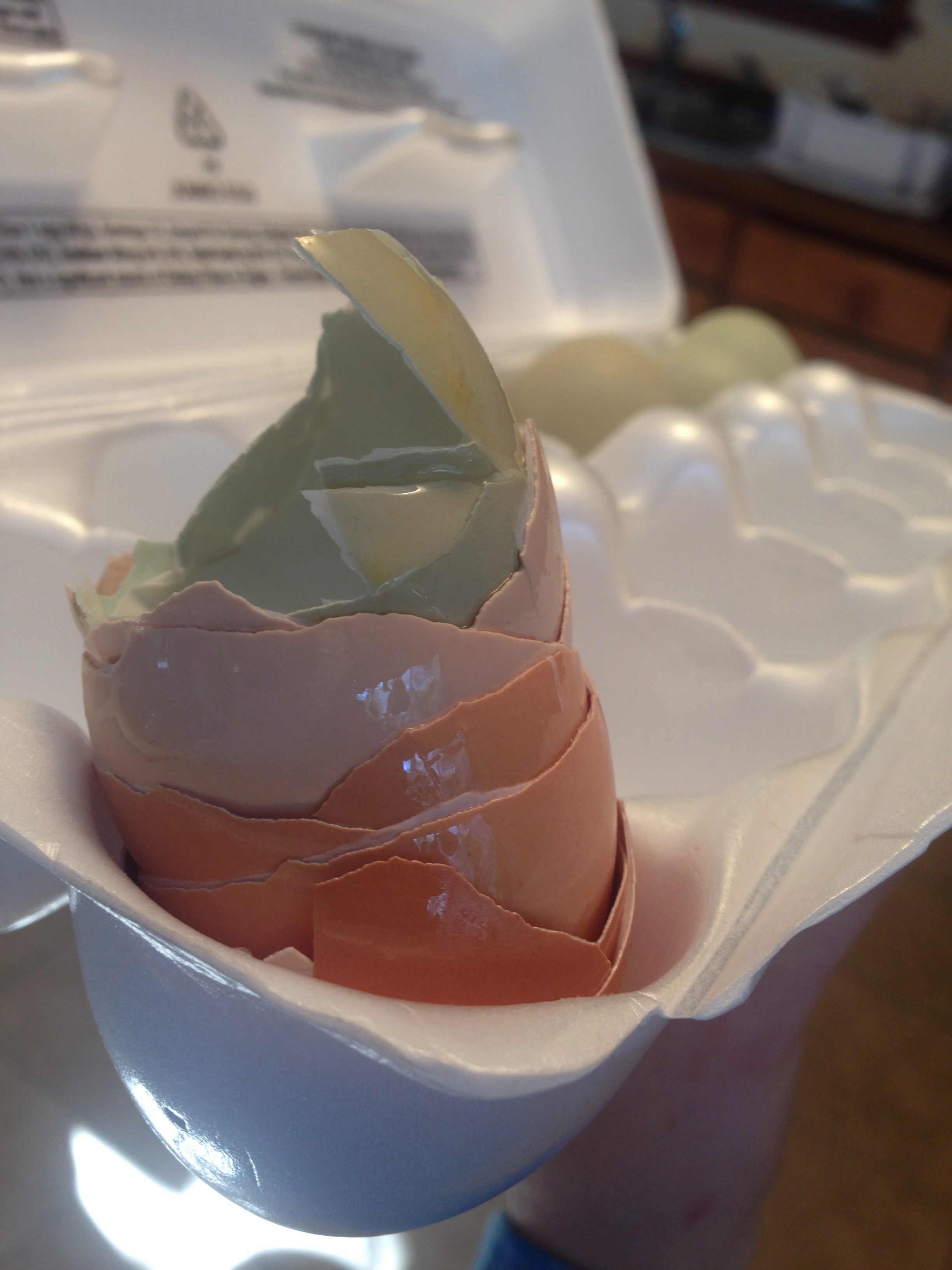 Cage free, pastureraised, organic…what does it all mean?! Holistic