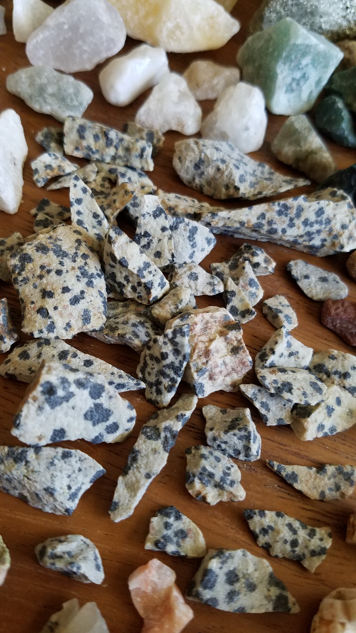 Dalmatian Jasper Crystal Benefits {Holistic Restoration's Crystal