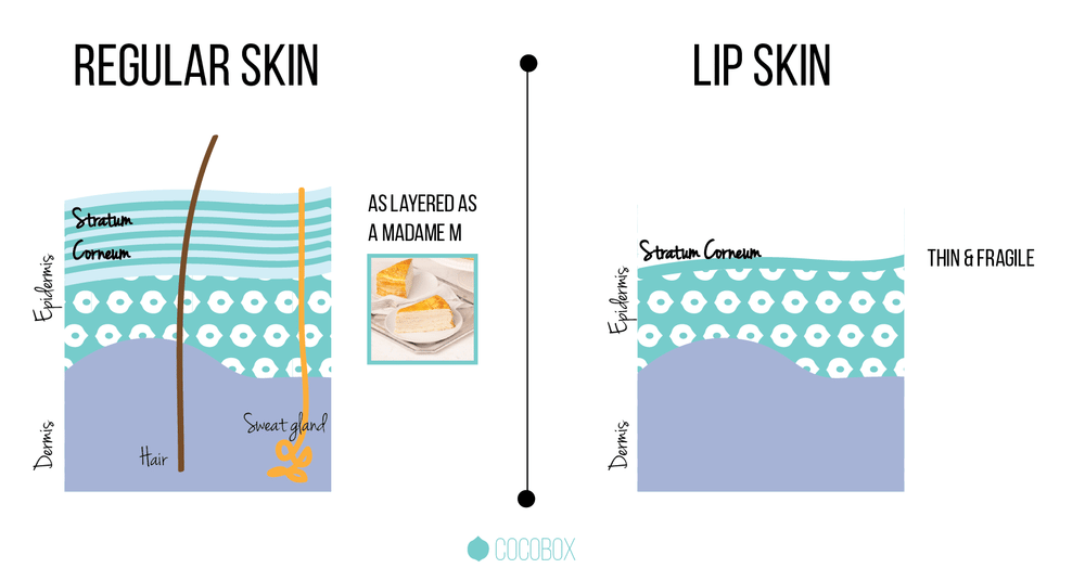 Cracked Lips & Vitamin Deficiency SHANNON GARRETT, MS, RN, CNN