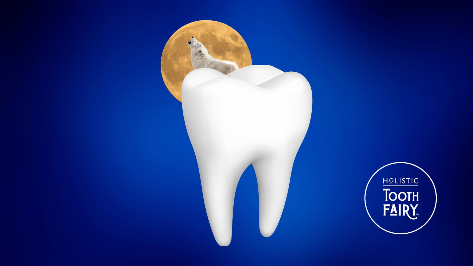 Spiritual meaning of central incisors Meliors Simms