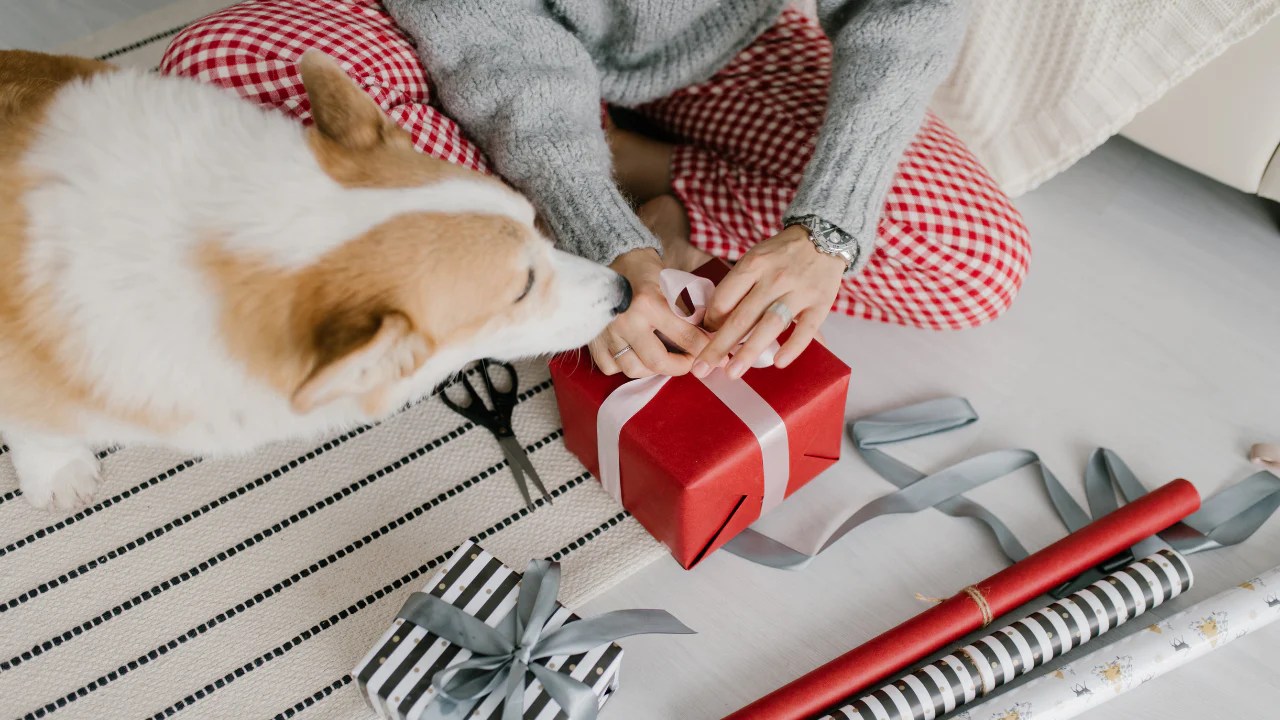 Best Gifts for Dog Moms and Dads Holistic Vet Blend