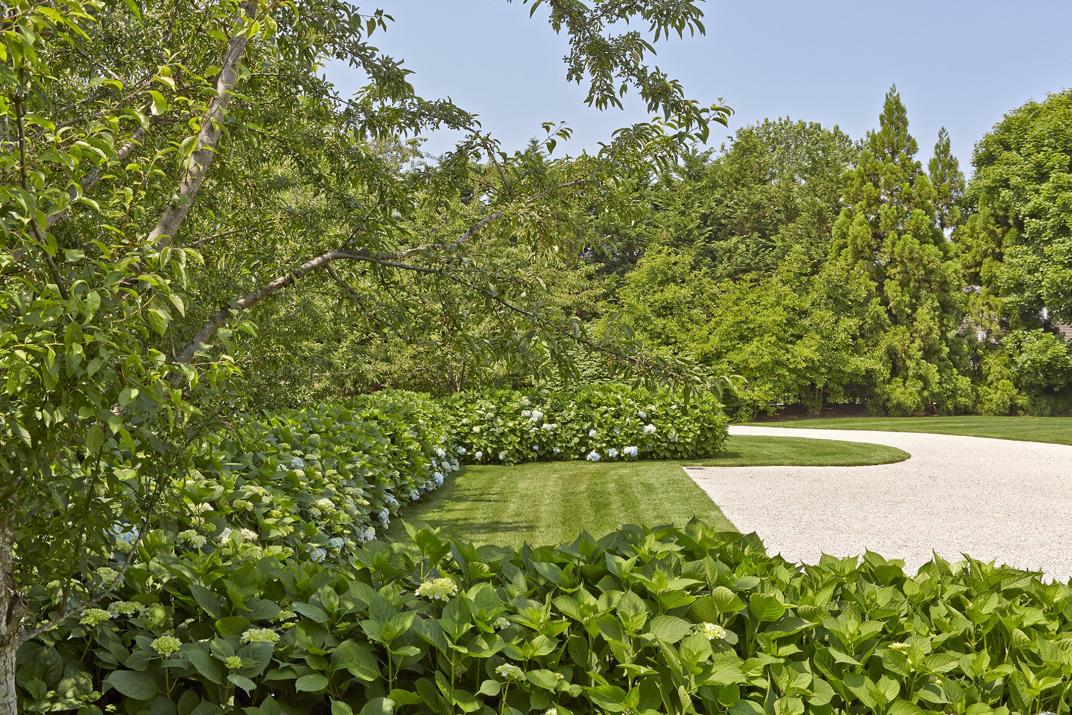 Hedges House Hollander Design