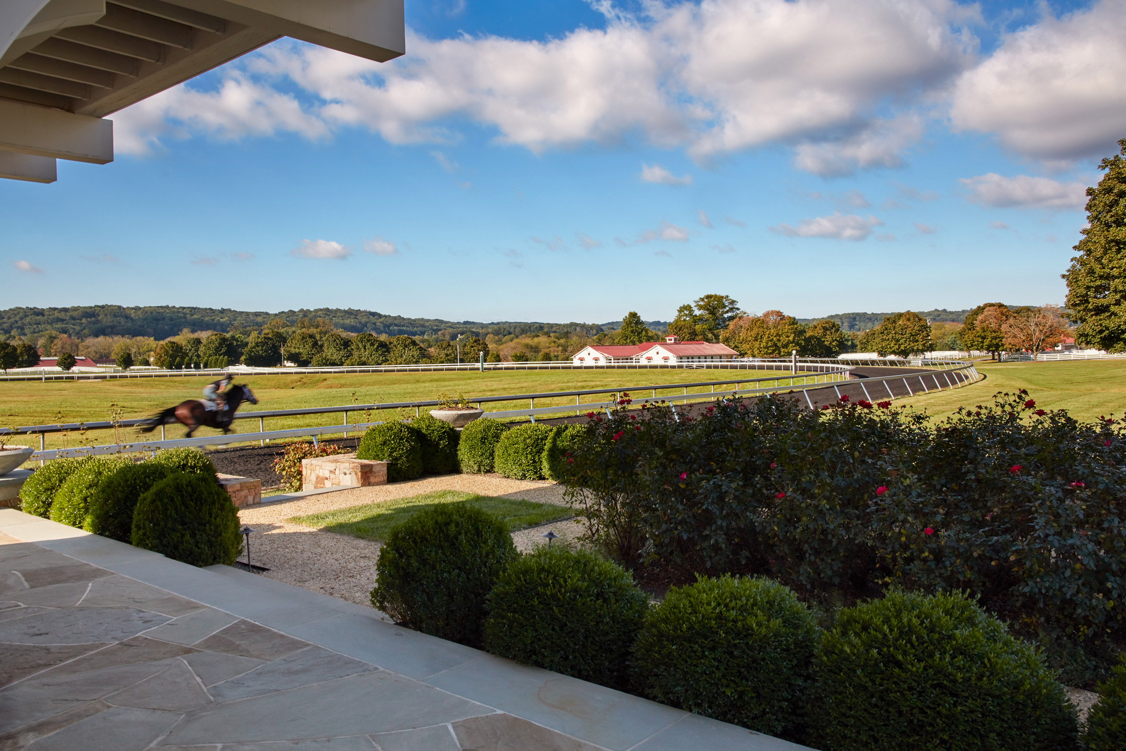 Sagamore Farm Hollander Design