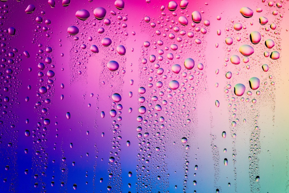 Moisture Analysers that Provide the Most Accurate Results - Holland
