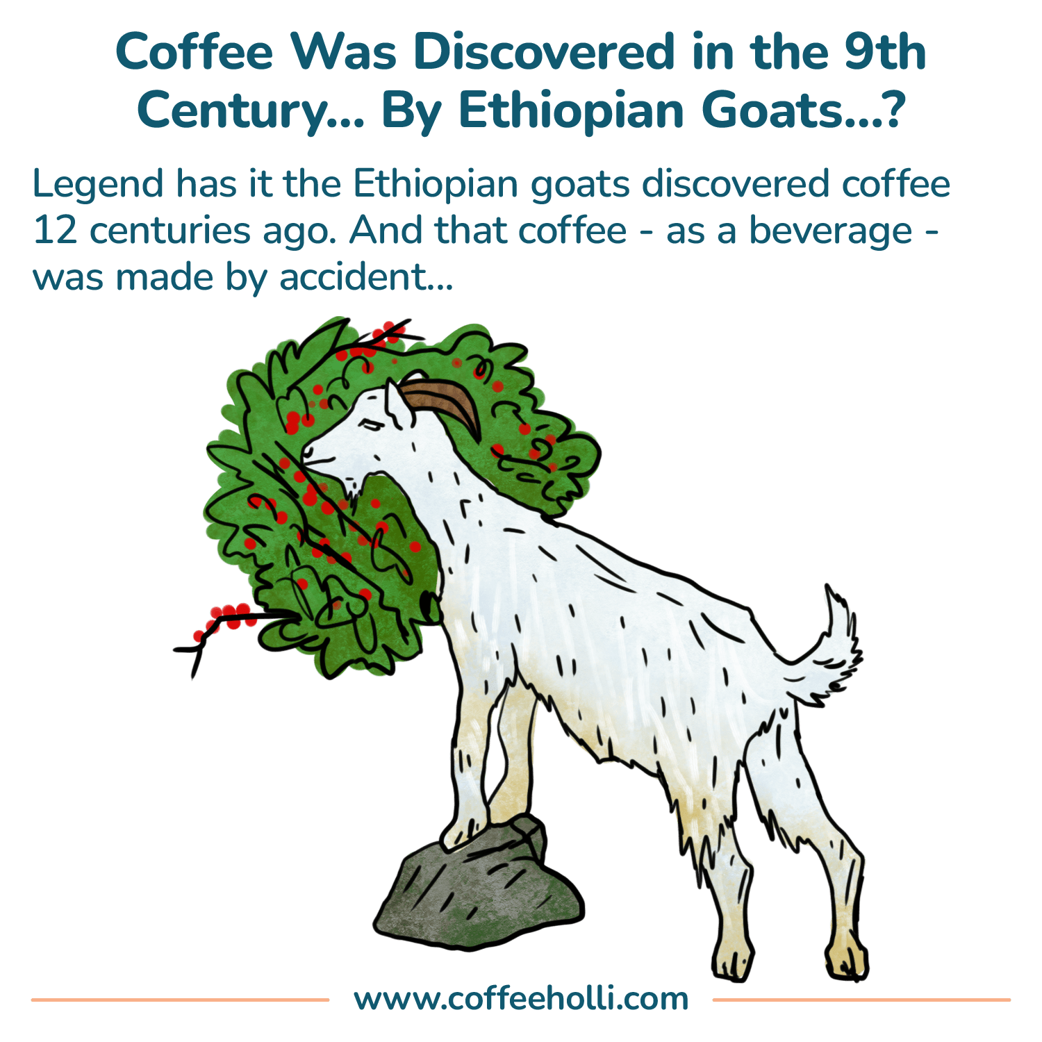 20 Interesting Facts About Coffee That'll Blow Your Mind
