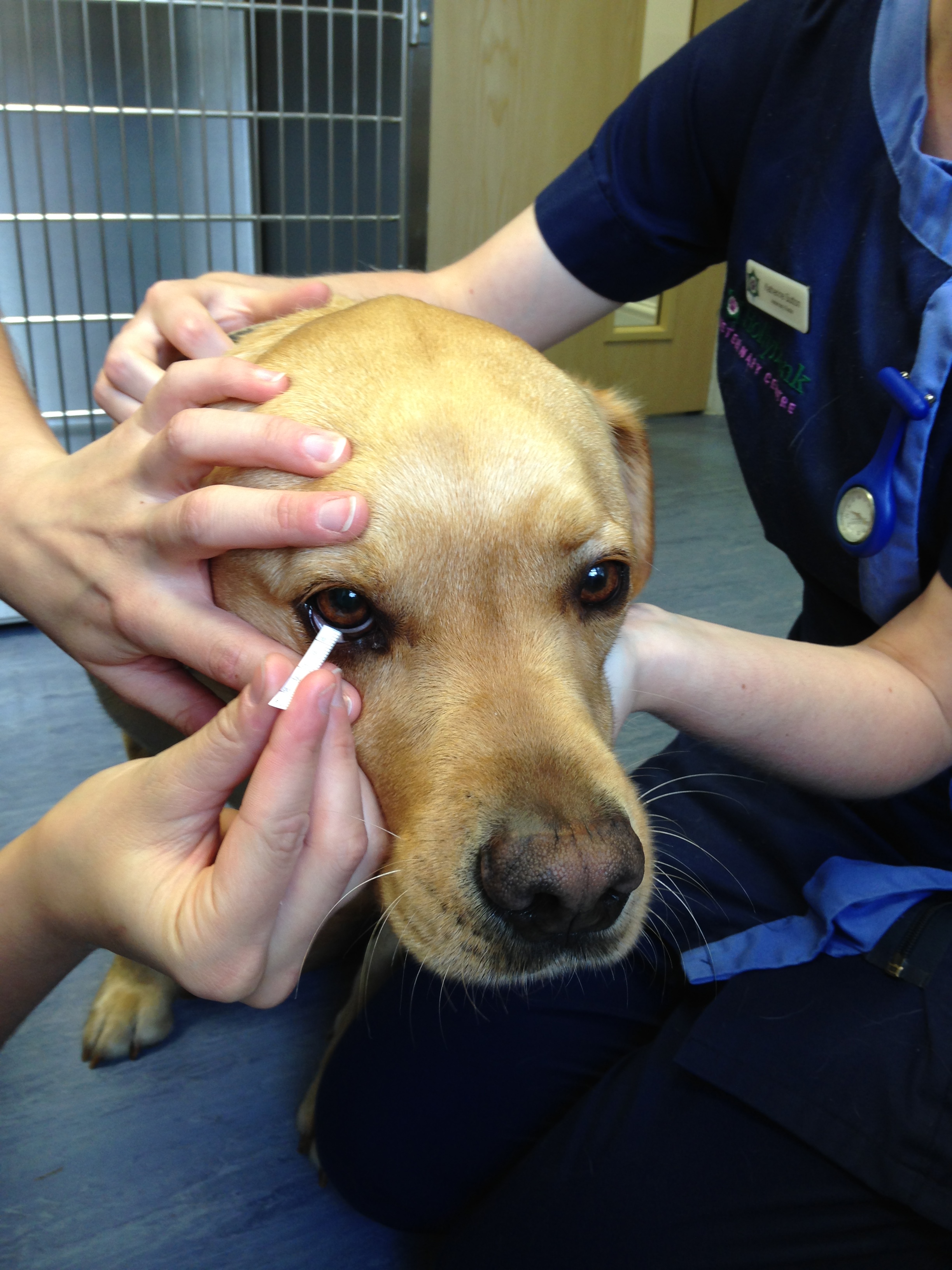 Take a closer Look….