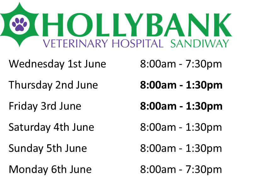 Independent Small Animal Hospital