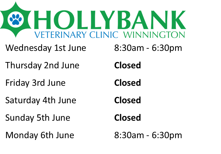 Independent Small Animal Hospital