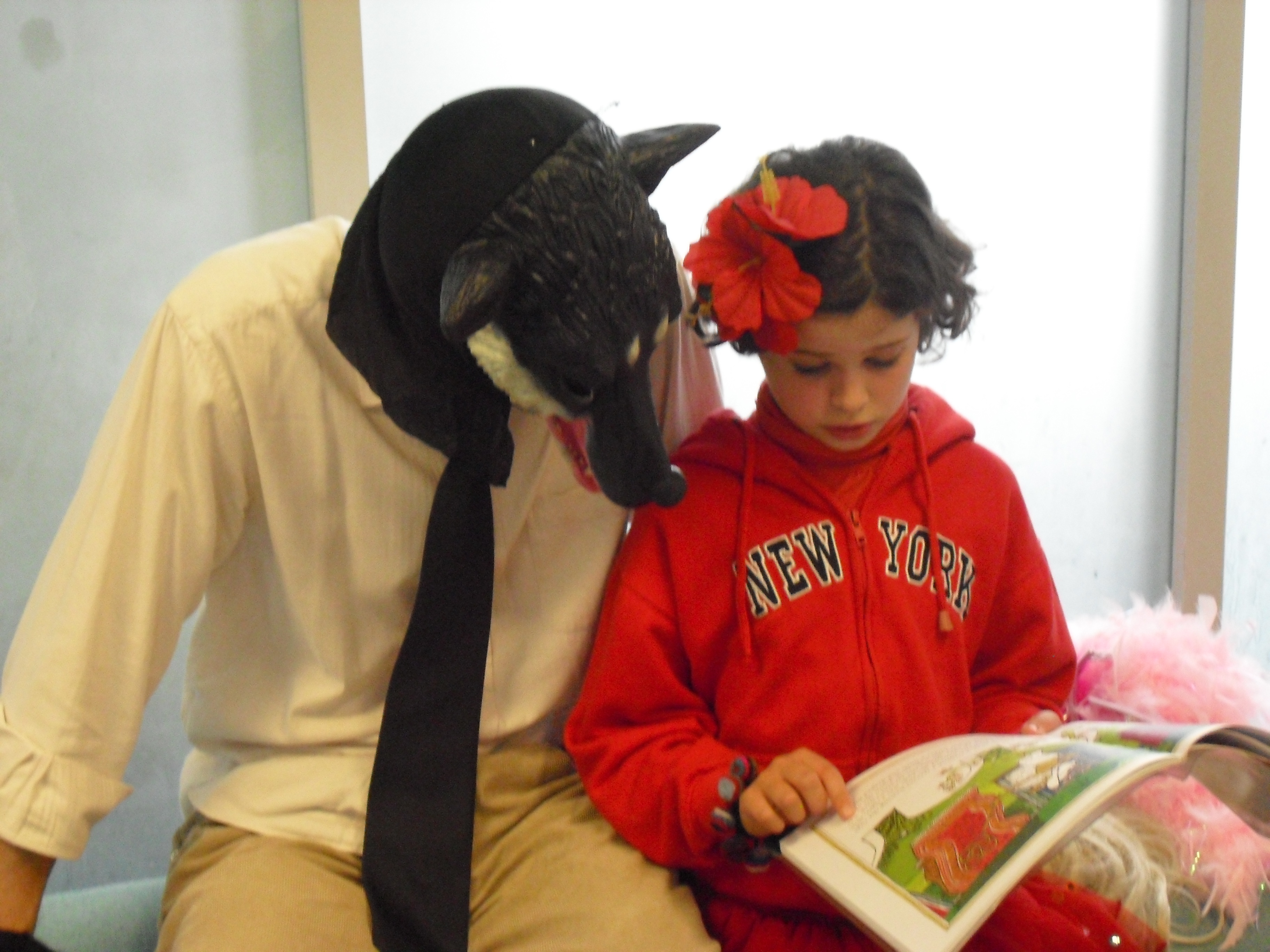 Putney Library hollyclass1