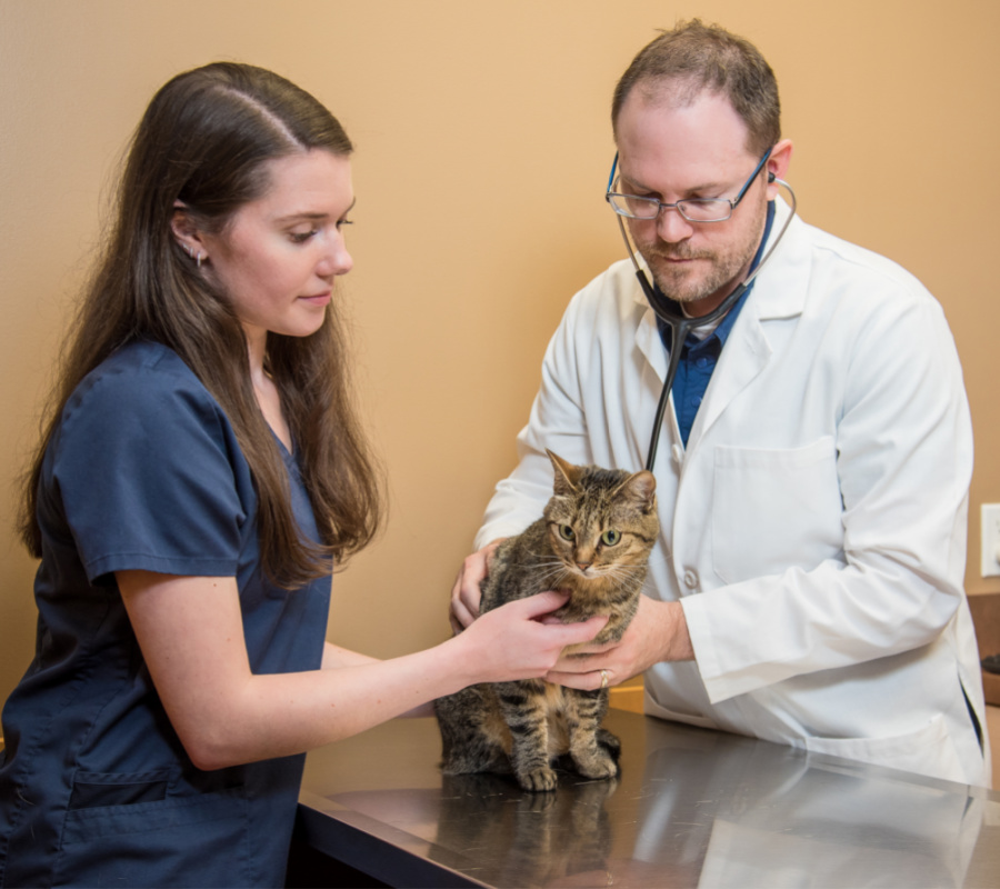 best care pet hospital l street Highly Relevant Diary Portrait Gallery